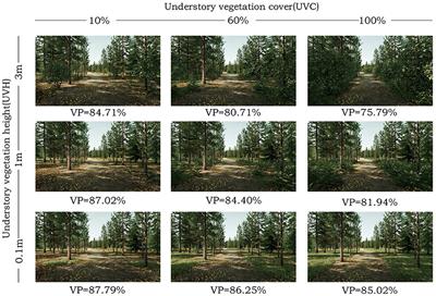 An eye-tracking study on visual perception of vegetation permeability in virtual reality forest exposure